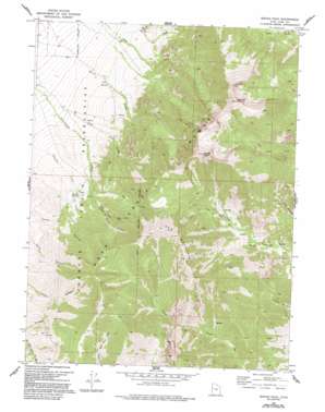 Ibapah Peak USGS topographic map 39113g8