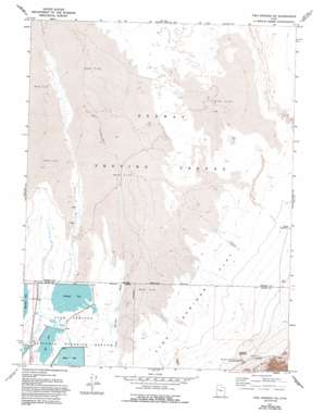 Fish Springs NE USGS topographic map 39113h3