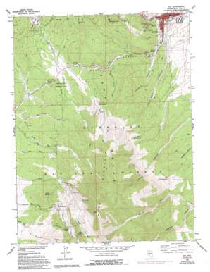 Ely USGS topographic map 39114b8