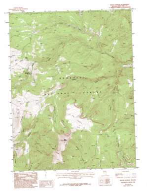 Mount Moriah topo map