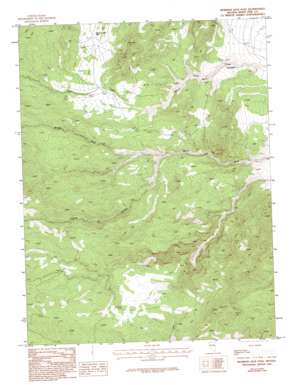 Mormon Jack Pass USGS topographic map 39114d2