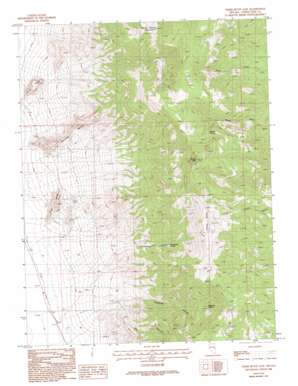 Third Butte East topo map