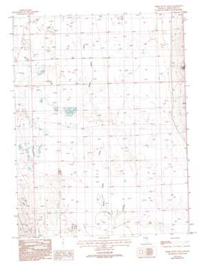 Third Butte West topo map