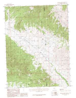 Skinner Canyon USGS topographic map 39114f1