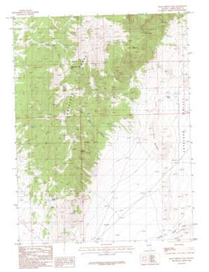 Rock Springs Pass USGS topographic map 39114g4