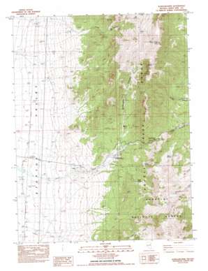 Schellbourne USGS topographic map 39114g6