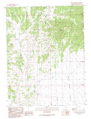 Ward Mountain USGS topographic map 39115a1