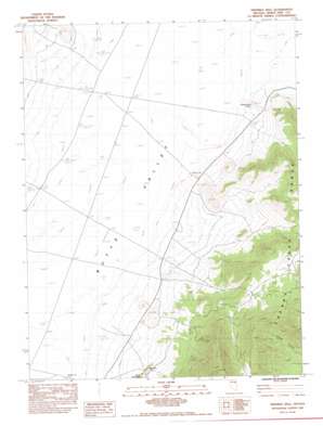 Ninemile Well USGS topographic map 39115h1