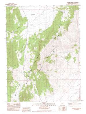 Tognini Spring USGS topographic map 39115h4