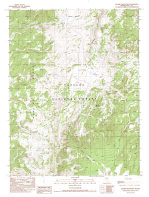 Savory Mountain USGS topographic map 39116a4