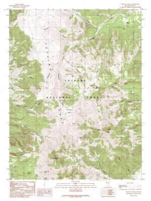 Wildcat Peak USGS topographic map 39116a7