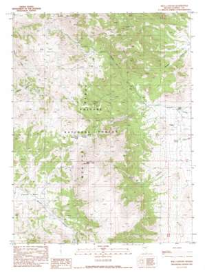 Well Canyon topo map