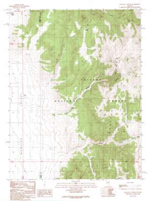 Wallace Canyon USGS topographic map 39116c5