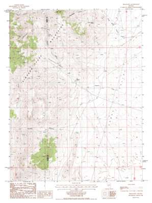 Shagnasty USGS topographic map 39116f5