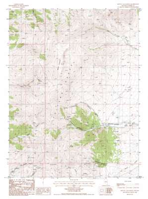 Mount Callaghan USGS topographic map 39116f8