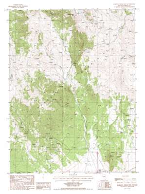 Roberts Creek Mountain USGS topographic map 39116g3