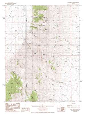Fagin Mountain USGS topographic map 39116g5