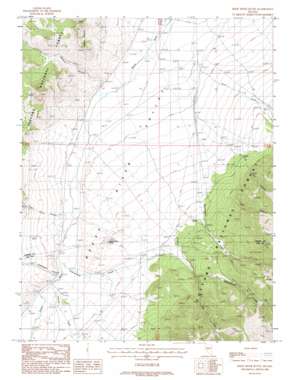 Reese River Butte topo map