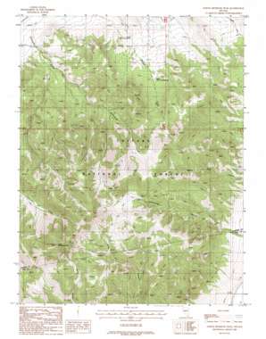 North Shoshone Peak USGS topographic map 39117b4