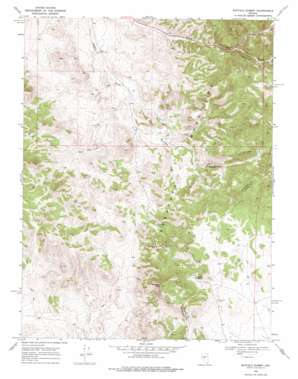 Buffalo Summit USGS topographic map 39117b7