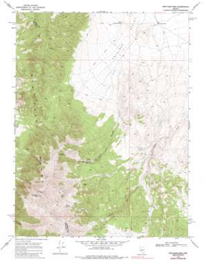 New Pass Peak USGS topographic map 39117f4