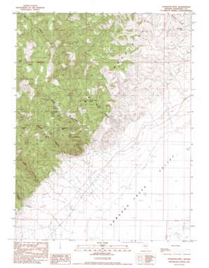 Tungsten Mountain USGS topographic map 39117f6