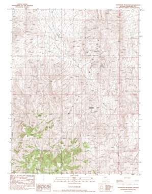 Shoshone Meadows topo map