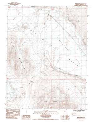 Bunejug Mountains USGS topographic map 39118c5