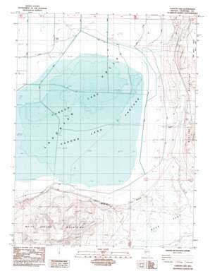 Carson Lake USGS topographic map 39118c6