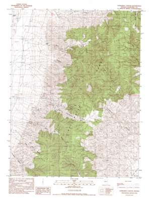Fondaway Canyon USGS topographic map 39118g2
