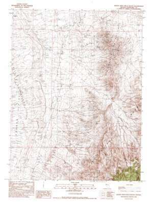 Buena Vista Hills South USGS topographic map 39118h2