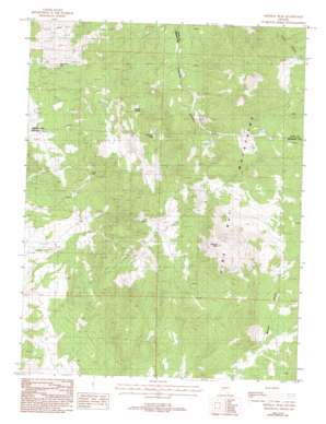 Mineral Peak USGS topographic map 39119a5