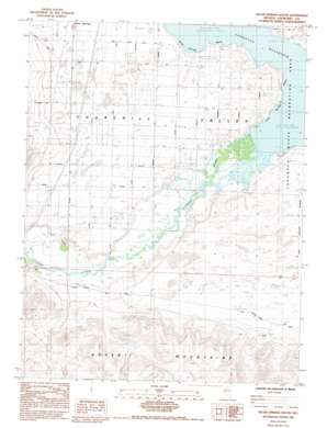 Silver Springs South USGS topographic map 39119c2