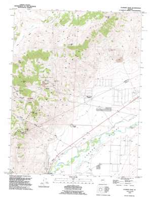 Flowery Peak USGS topographic map 39119c5