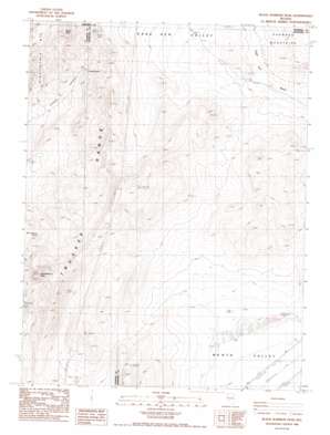 Black Warrior Peak USGS topographic map 39119h2