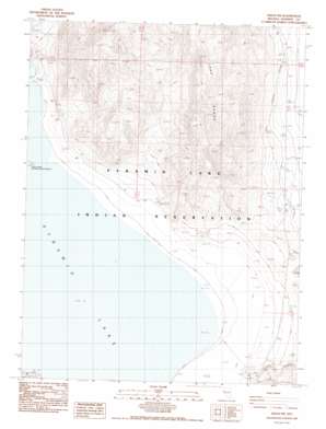 Nixon Nw USGS topographic map 39119h4