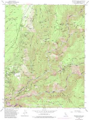 Michigan Bluff USGS topographic map 39120a6