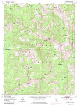 Granite Chief USGS topographic map 39120b3
