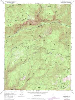 Duncan Peak USGS topographic map 39120b5