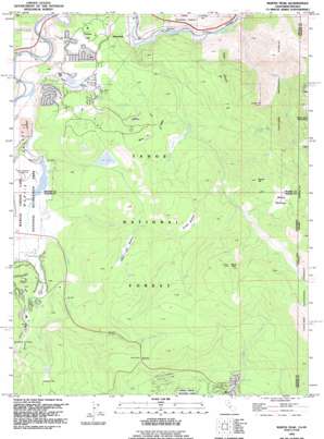 Mount Rose USGS topographic map 39120c1