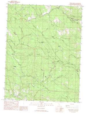 Bailey Ridge USGS topographic map 39123b4