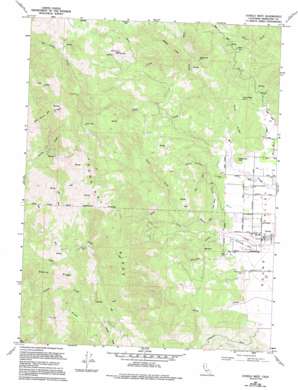 Covelo West USGS topographic map 39123g3