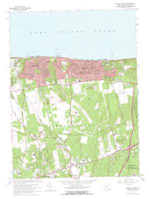 Middle Island USGS topographic map 40072h8
