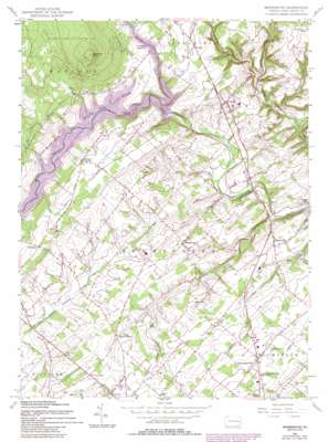 Bedminster topo map