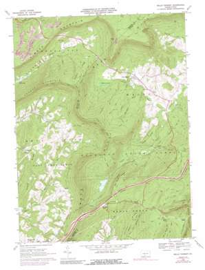 Wells Tannery USGS topographic map 40078a2