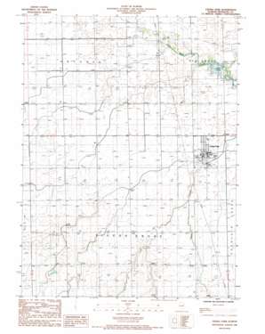 Cissna Park USGS topographic map 40087e8