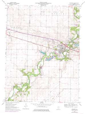 Mahomet USGS topographic map 40088b4