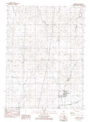Saunemin USGS topographic map 40088h4