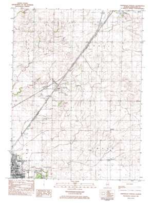 Northeast Pontiac topo map
