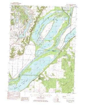 Duck Island USGS topographic map 40089d8